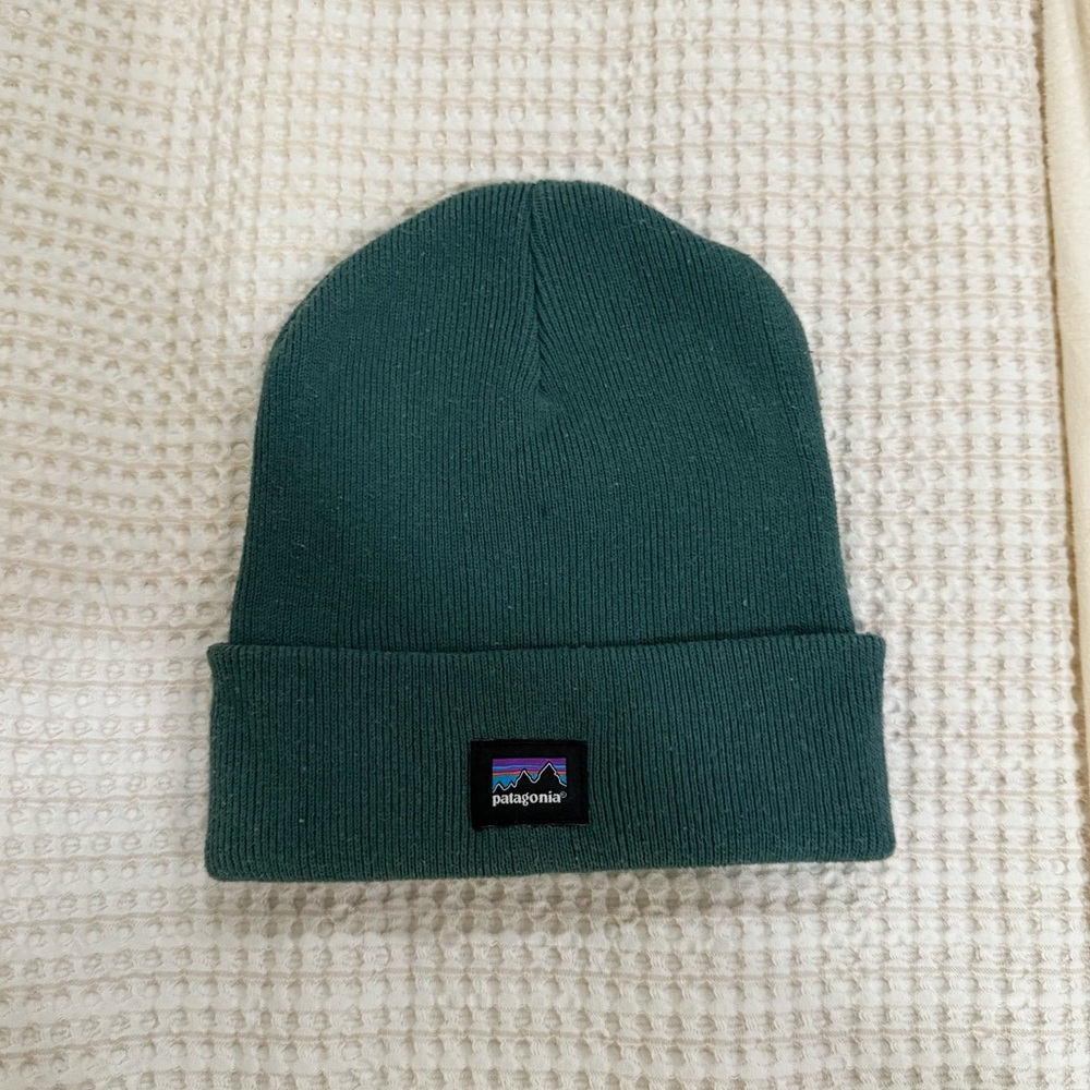 Patagonia Green Beanie